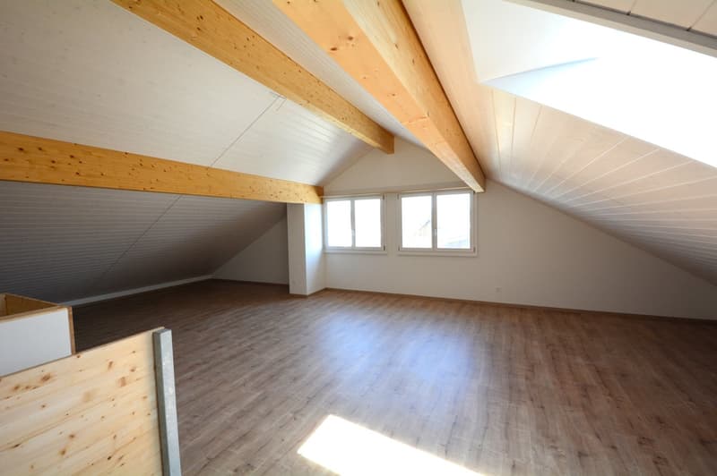 Spacious 6.5-room townhouses – New buildings in Rupperswil (14)