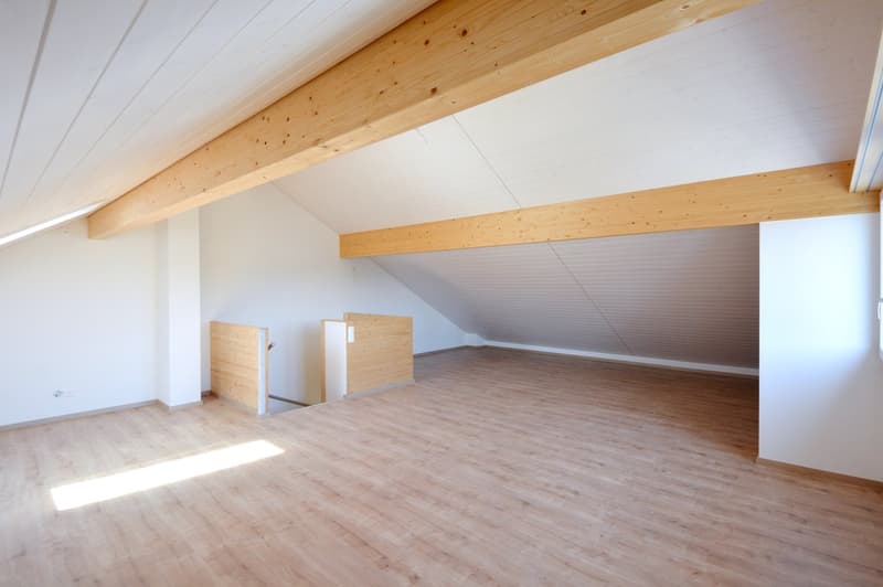 Spacious 6.5-room townhouses – New buildings in Rupperswil (13)