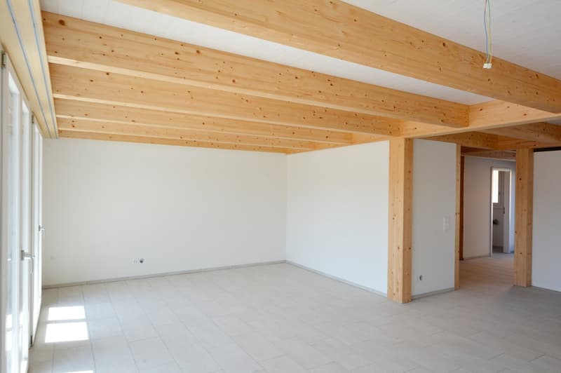 Spacious 6.5-room townhouses – New buildings in Rupperswil (7)