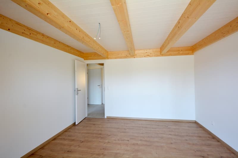 Spacious 6.5-room townhouses – New buildings in Rupperswil (21)