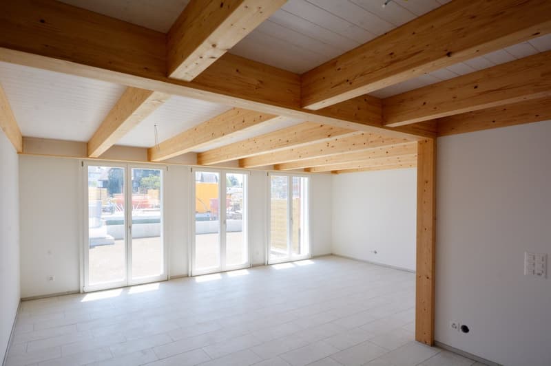 Spacious 6.5-room townhouses – New buildings in Rupperswil (8)