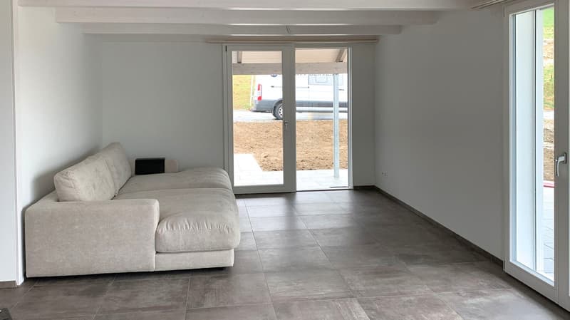 New Dream House in Murgenthal, Riken (4)