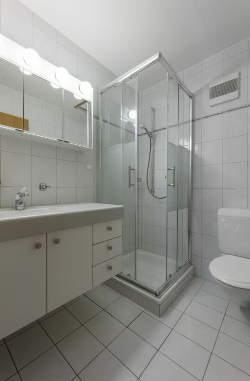 Appartement de jardin 4,5 pièces avec un environnement merveilleux (7)