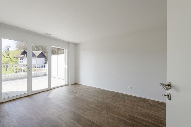 Attic apartment with 90 m2 terrace and castle view (5)