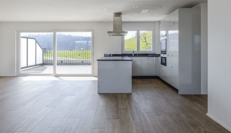 Attic apartment with 90 m2 terrace and castle view (1)