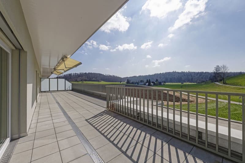 Attic apartment with 90 m2 terrace and castle view (12)