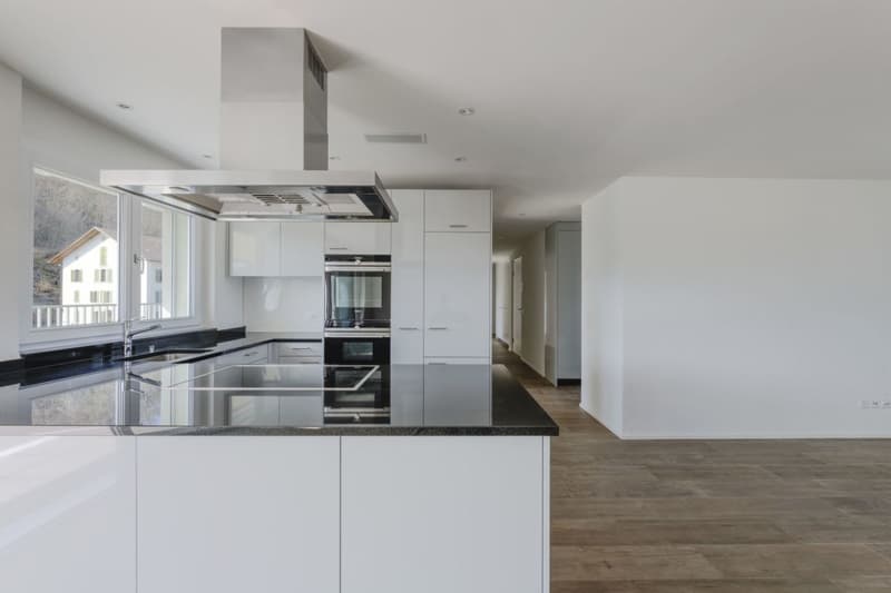 Attic apartment with 90 m2 terrace and castle view (8)