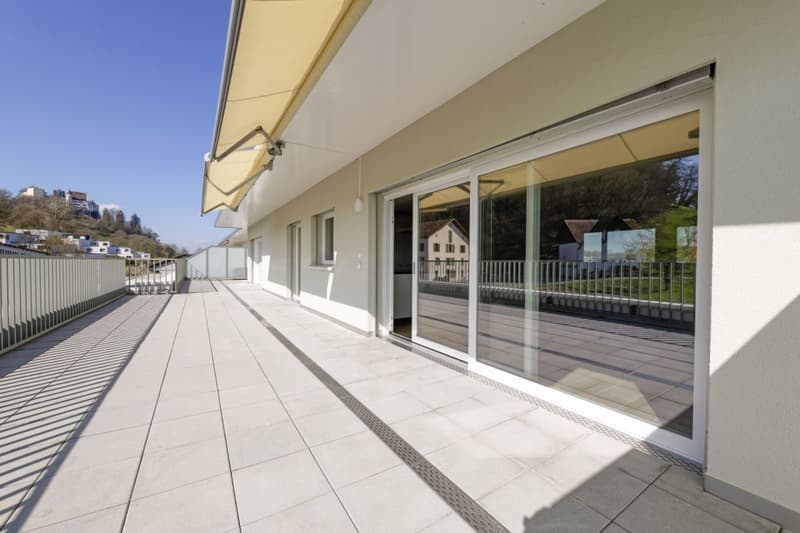 Attic apartment with 90 m2 terrace and castle view (10)