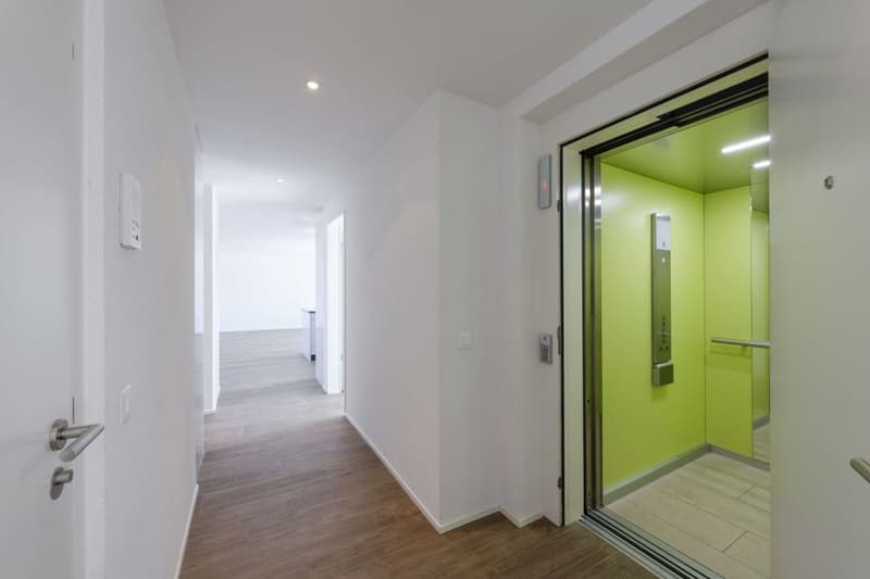 Attic apartment with 90 m2 terrace and castle view (4)