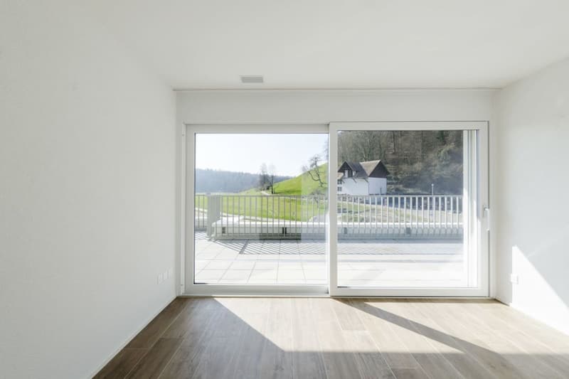 Attic apartment with 90 m2 terrace and castle view (2)
