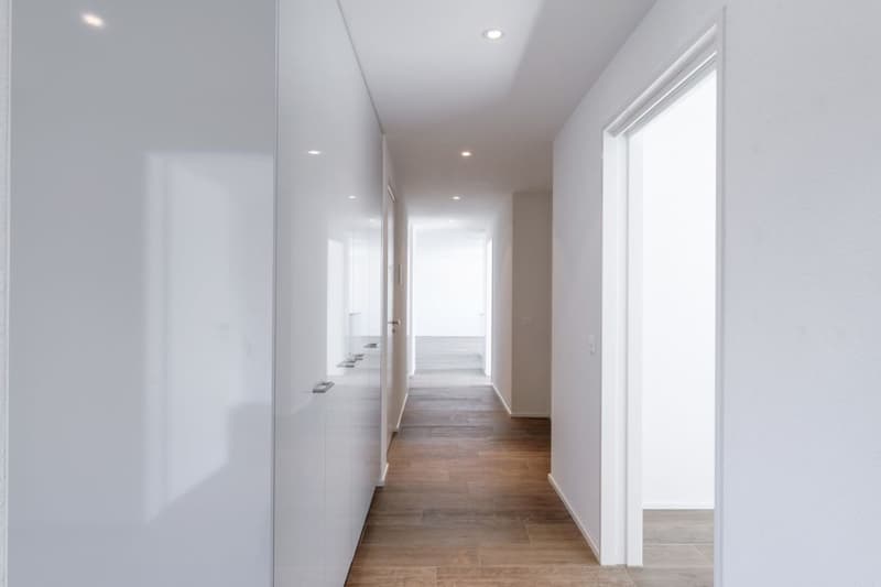 Attic apartment with 90 m2 terrace and castle view (3)
