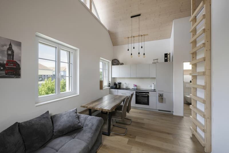 2.5 Zimmer Wohnung in 5242 Lupfig (1)