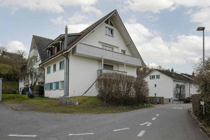 3.5 Room Garden Apartment in Tägerig (10)