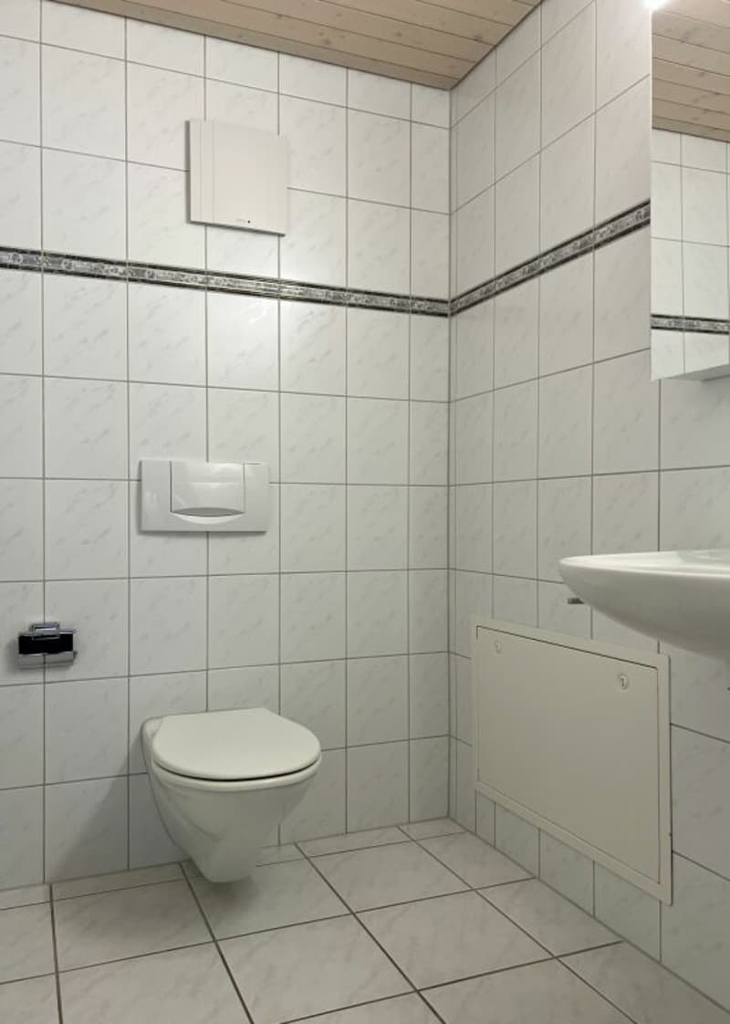 Schöne und gepflegte 4.5 Zimmer Dachwohnung mit Gartensitzplatz (7)