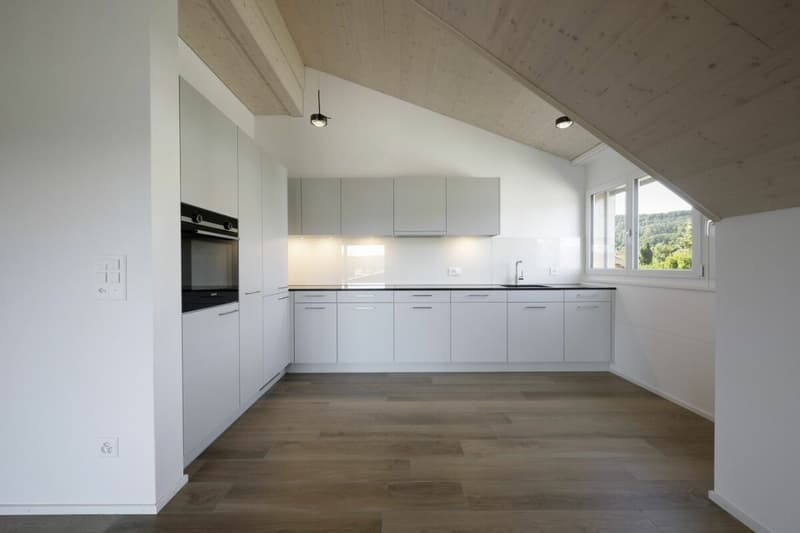 Beautiful 3.5 room attic apartment with large loggia (2)