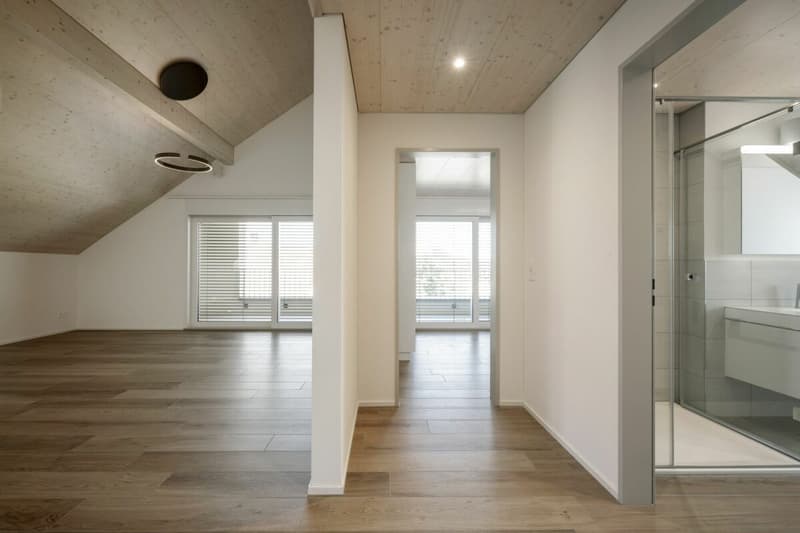 Beautiful 3.5 room attic apartment with large loggia (5)
