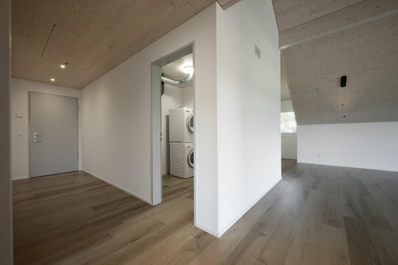 Beautiful 3.5 room attic apartment with large loggia (8)