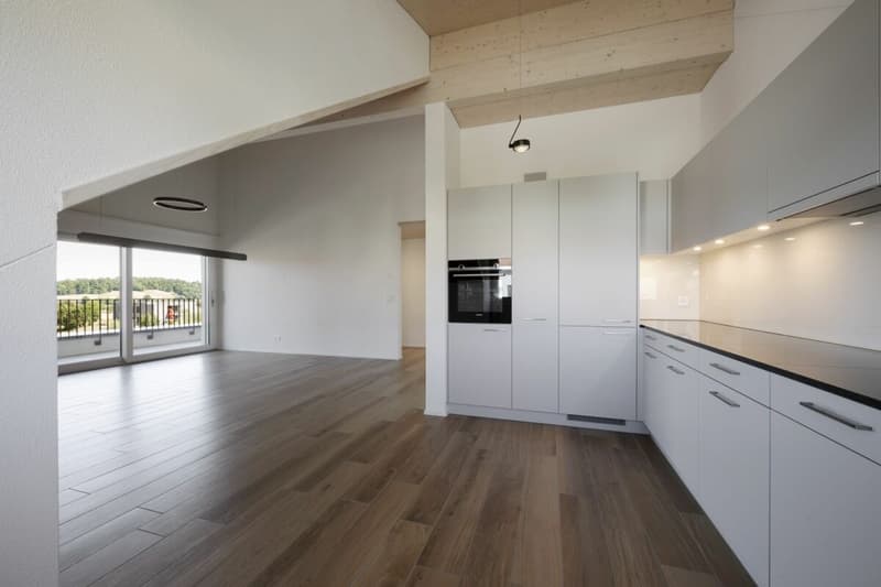 Beautiful 3.5 room apartment with high ceilings and nice balcony (2)