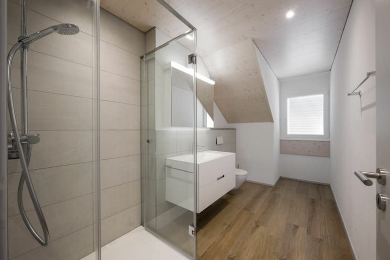 Beautiful 3.5 room apartment with high ceilings and nice balcony (7)