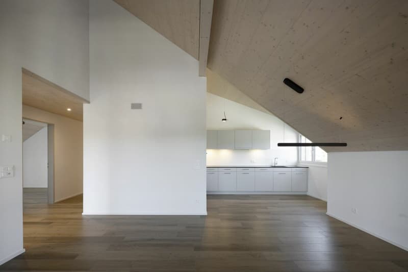 Beautiful 3.5 room apartment with high ceilings and nice balcony (3)