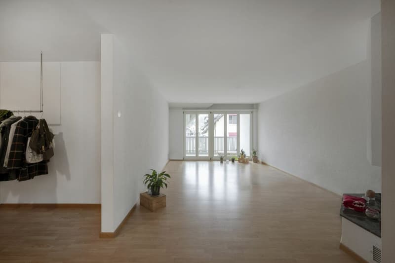 3.5 Room Apartment in Tägerig (2)