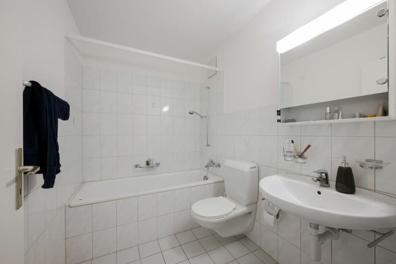 3.5 Room Apartment in Tägerig (5)