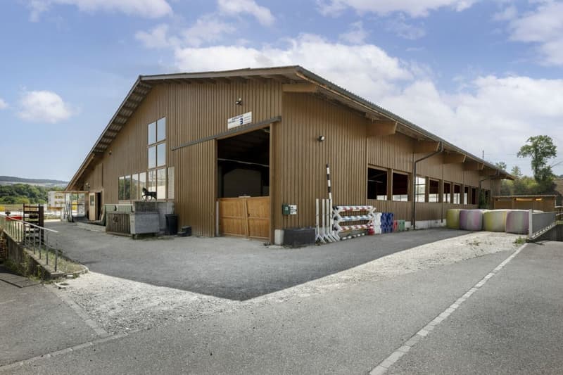 Reitanlage Mellingen (5)