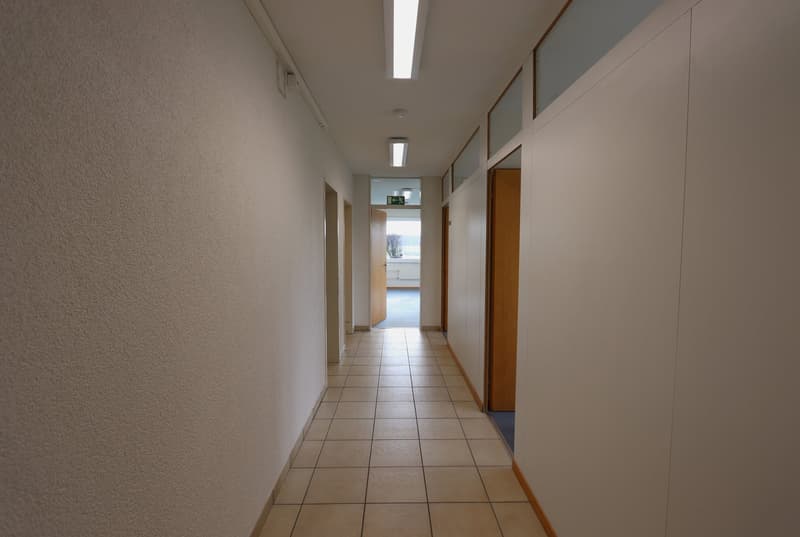 Propriété commerciale dans un emplacement central et verdoyant (7)