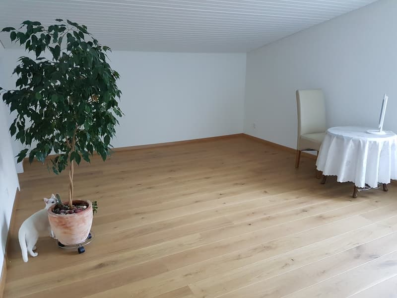 Charmantes 5-Zimmer-Einfamilienhaus in Gränichen (10)