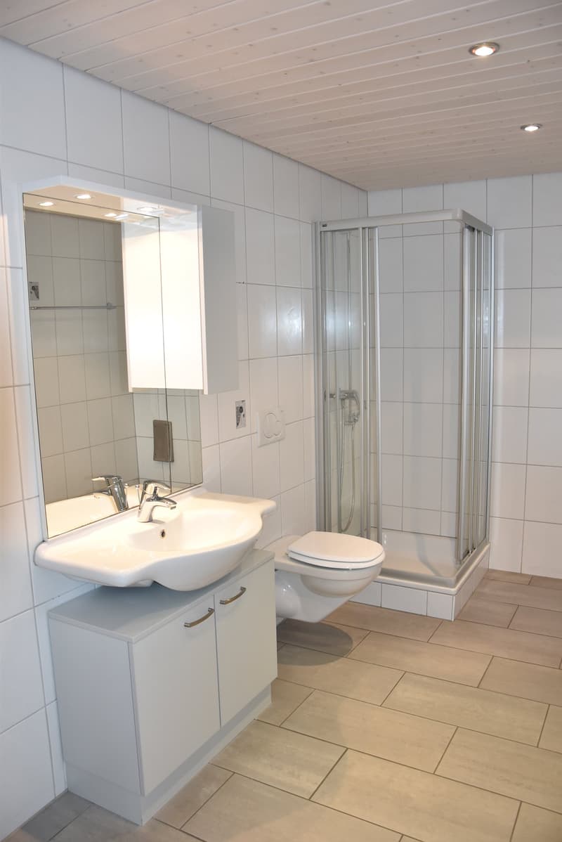White tiles, glass enclosed shower, white sink, white vanity, white toilet