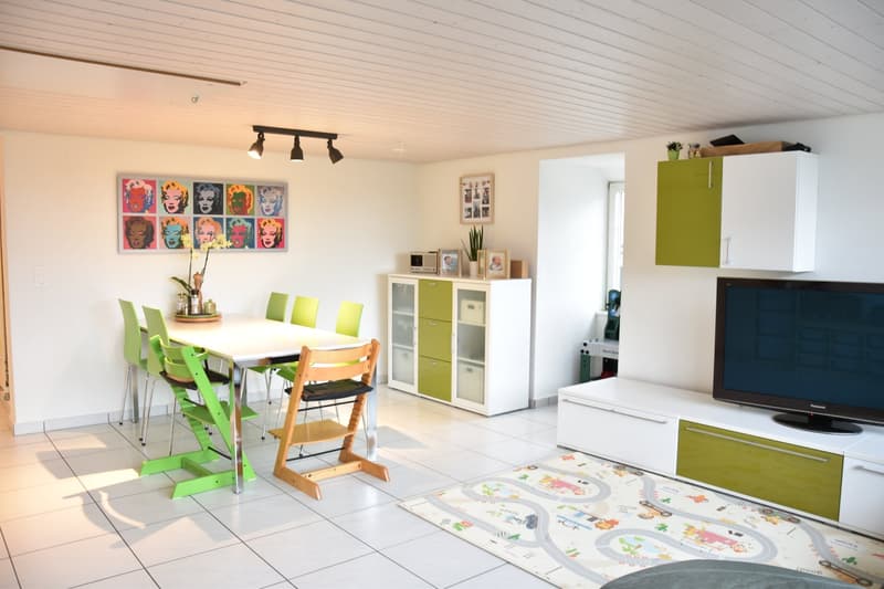 Dachwohnung mit grosser Terrasse und Weitsicht auf Jura (4)