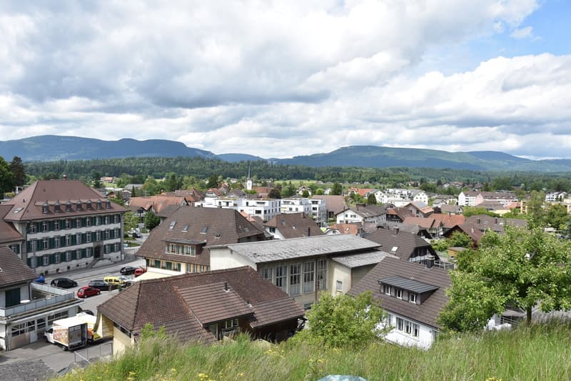 Dachwohnung mit grosser Terrasse und Weitsicht auf Jura (2)