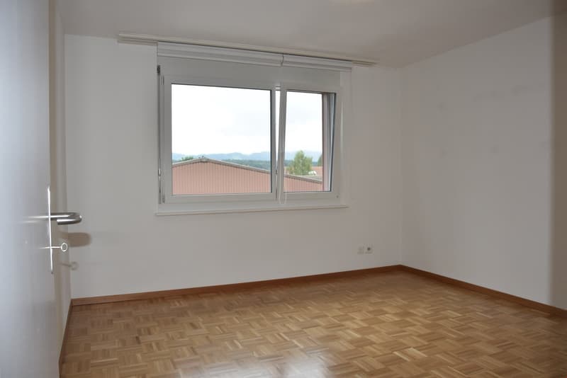 4 1/2-Zimmer-Wohnung (7)