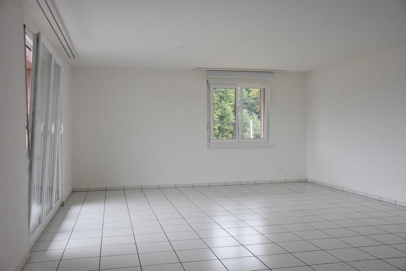 4 1/2-Zimmer-Wohnung (5)