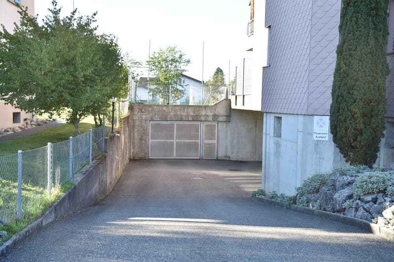 4 1/2-Zimmer-Wohnung (18)