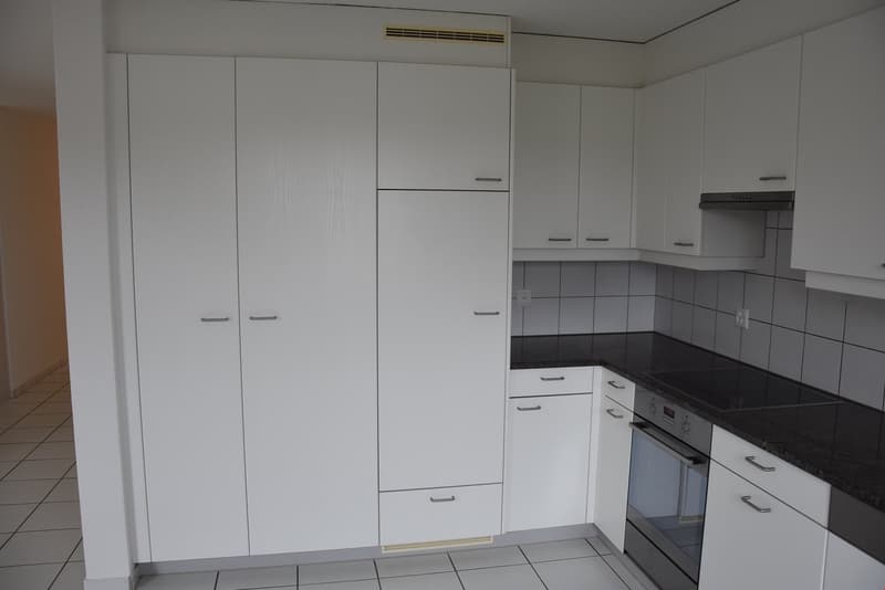 4 1/2-Zimmer-Wohnung (4)