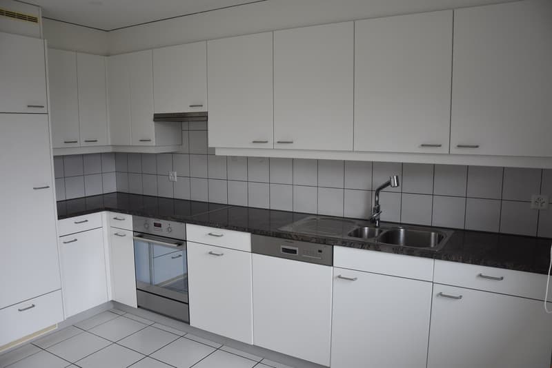 4 1/2-Zimmer-Wohnung (2)