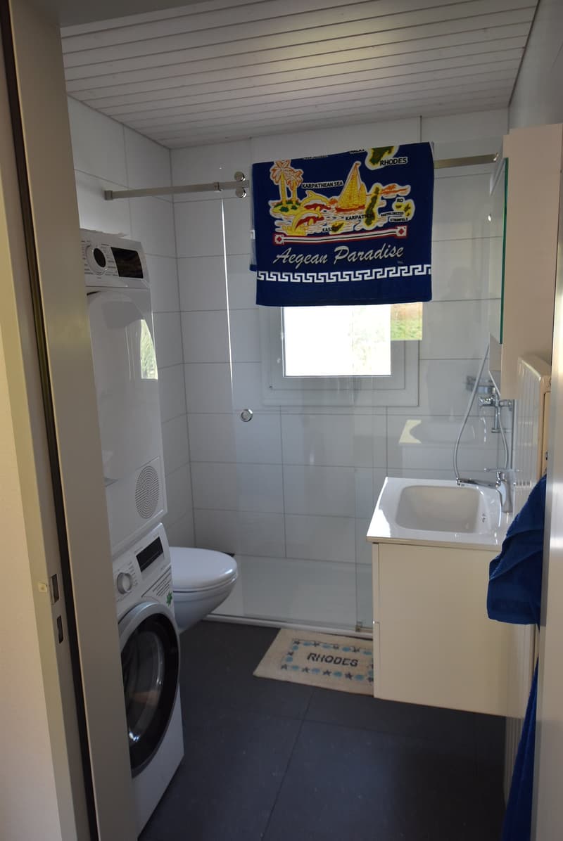 2,5 Zimmer-Dachwohnung (8)