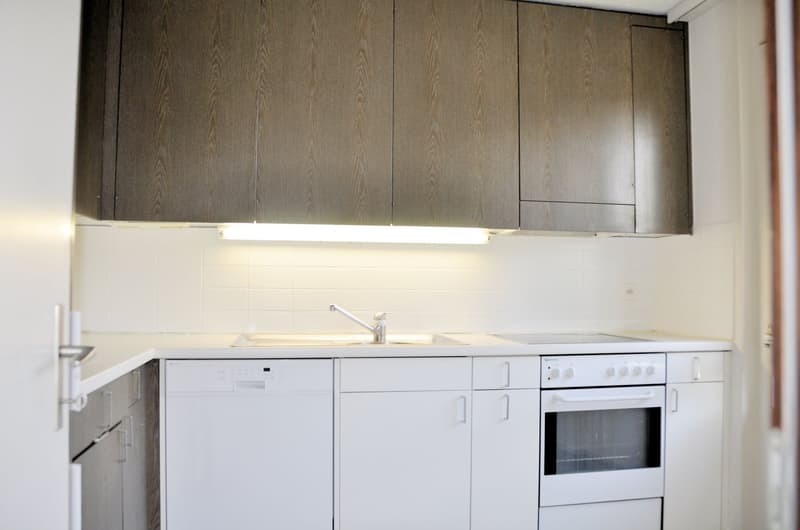 modern kitchen with white cabinets, wooden cabinets, sink, dishwasher, oven, and a light above the cabinets