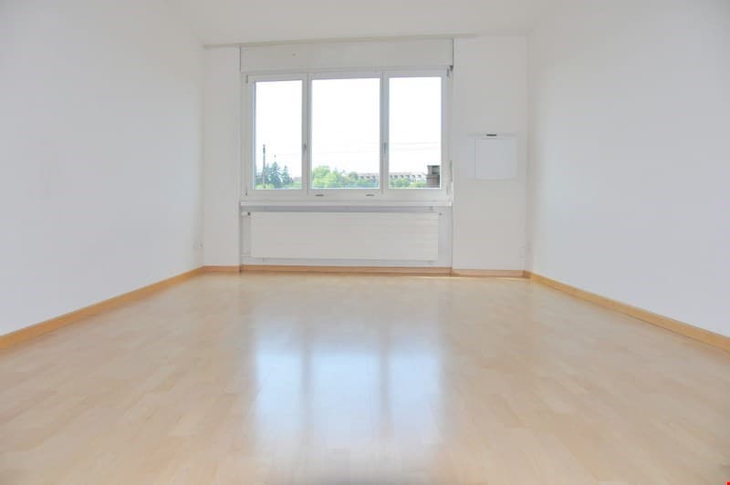 empty room, wooden floor, white walls, large window, white radiator