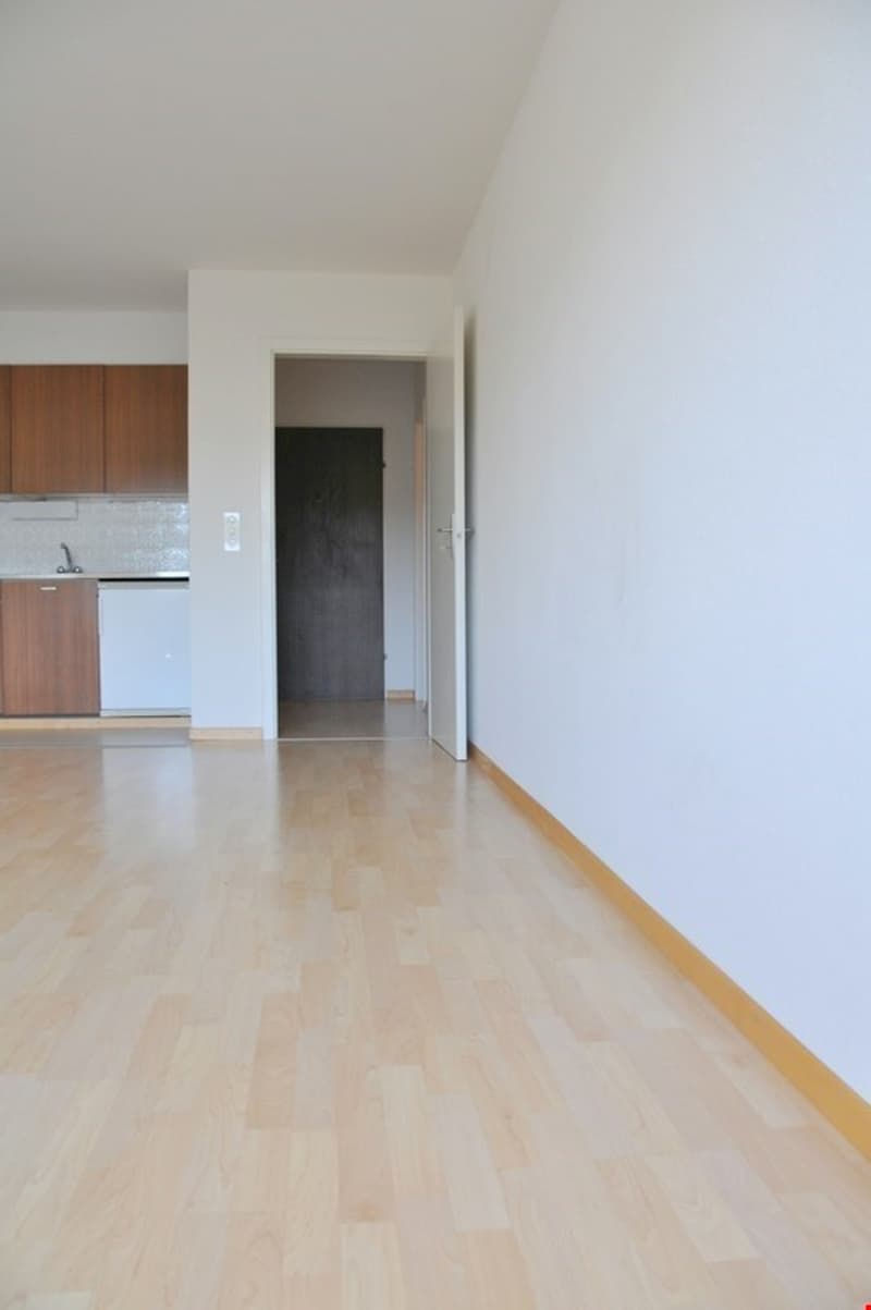 empty room, wooden floor, white walls, open door, kitchen area with sink and cabinets