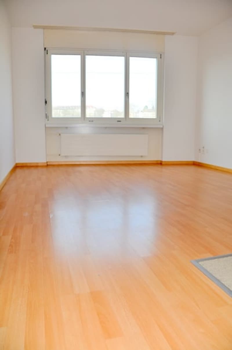 2-room apartment in Lorraine quarter near HB (3)