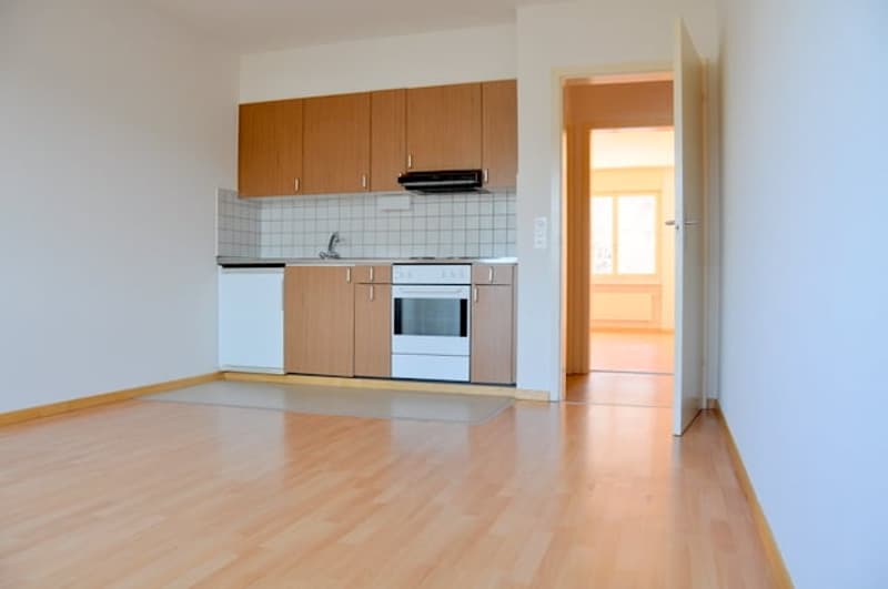 2-room apartment in Lorraine quarter near HB (1)