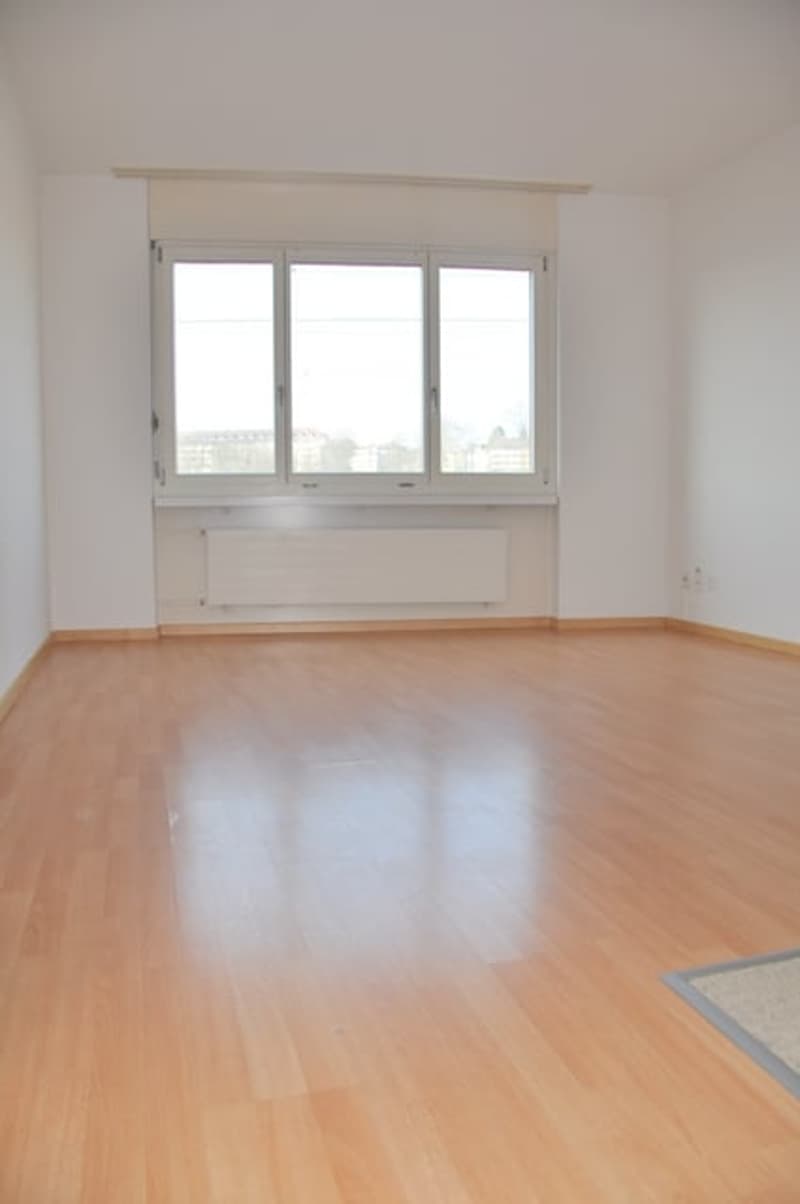 2-room apartment in Lorraine quarter near HB (4)