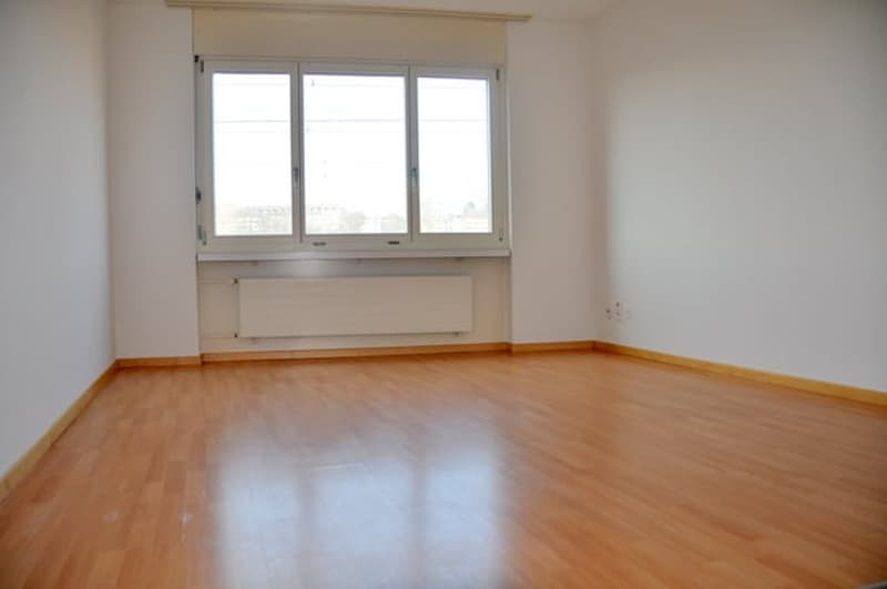 2-room apartment in Lorraine quarter near HB (2)