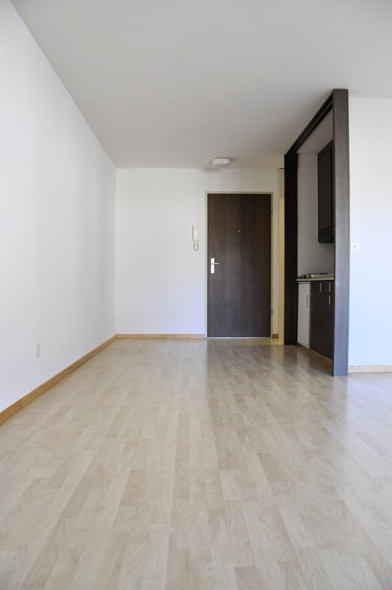 Appartamento monolocale a Breitenrain (3)