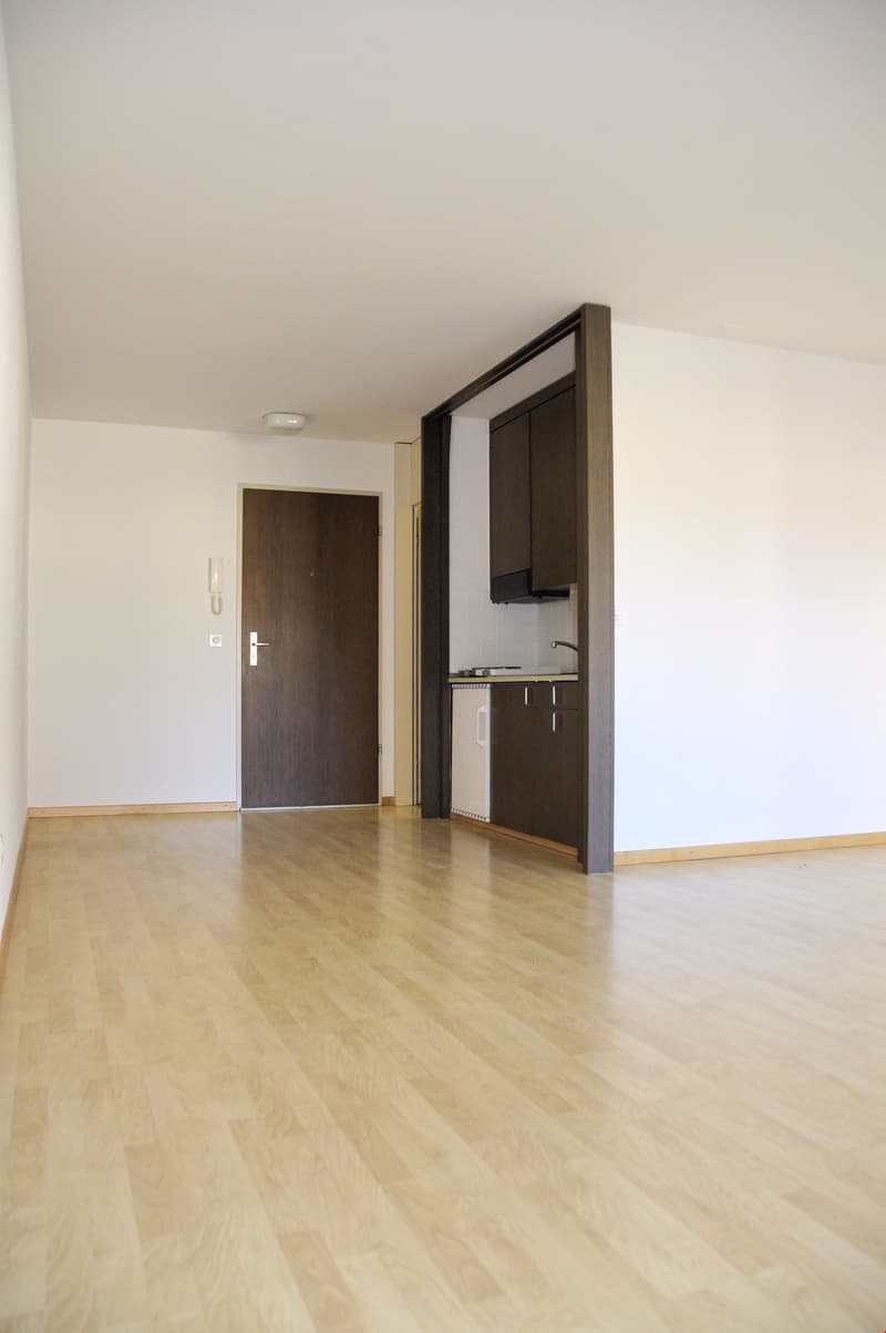 Appartamento monolocale a Breitenrain (1)