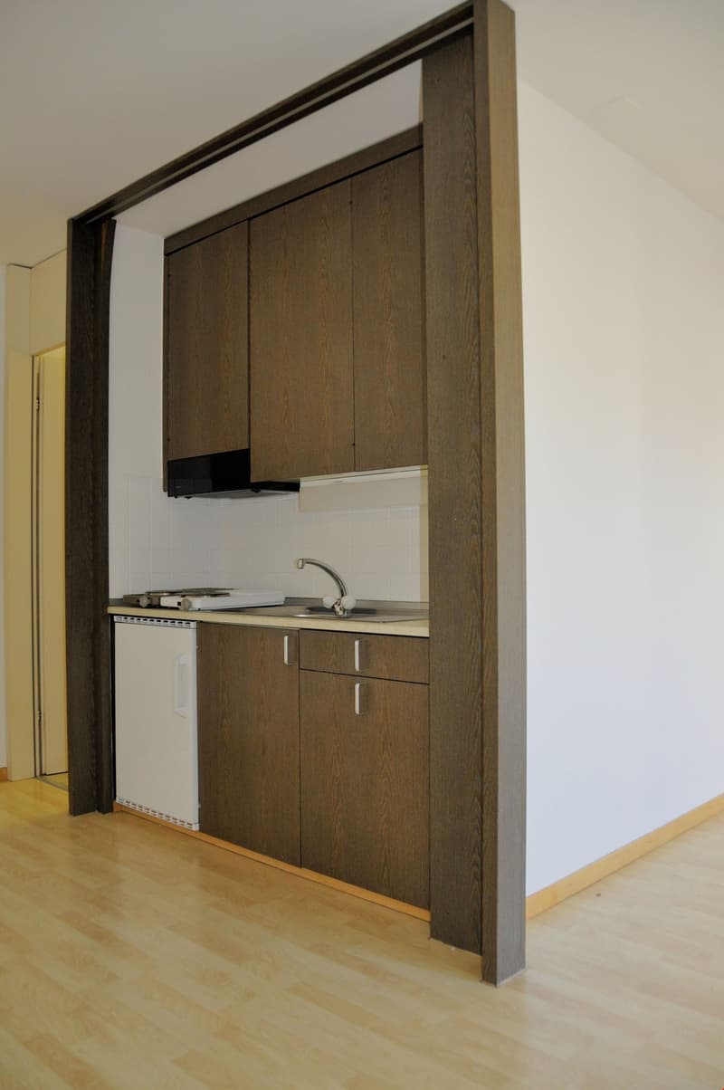 Appartamento monolocale a Breitenrain (4)