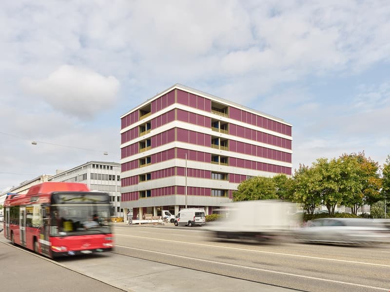1.5-Zimmer Loft-Wohnung (8)