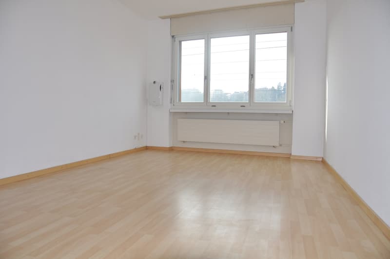 1 Zimmerwohnung im Lorrainequartier nähe HB (1)